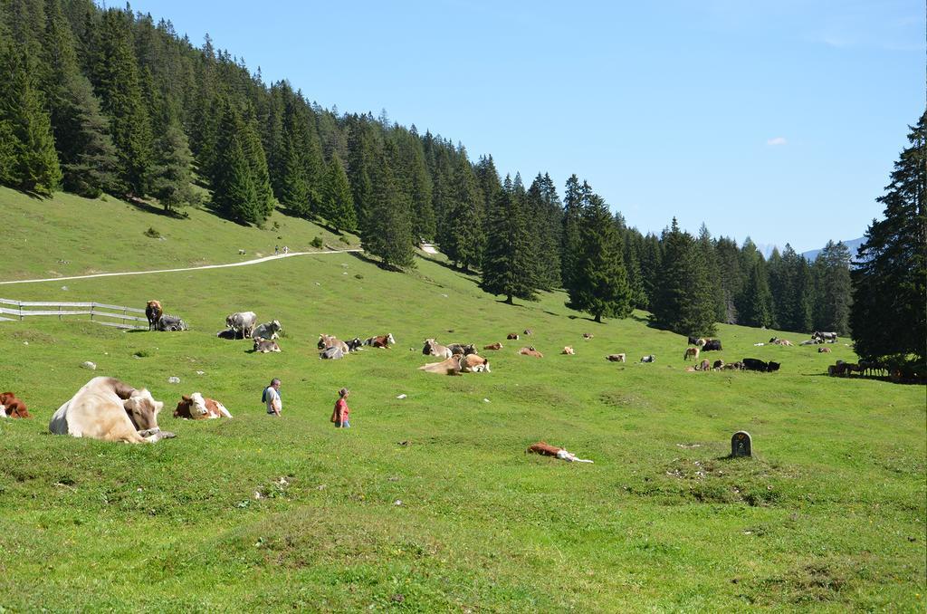 Haus Bergkristall Leutasch Zewnętrze zdjęcie